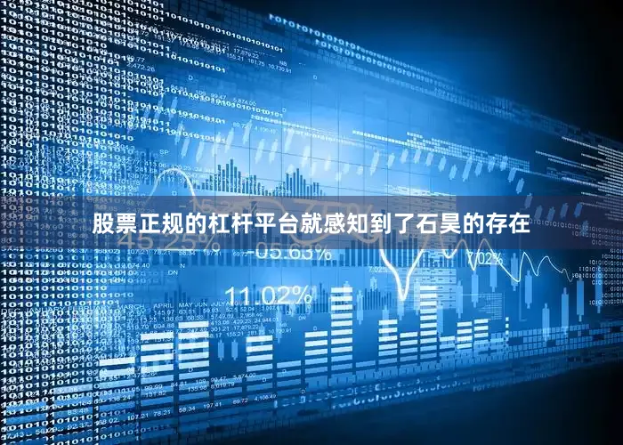 股票正规的杠杆平台就感知到了石昊的存在