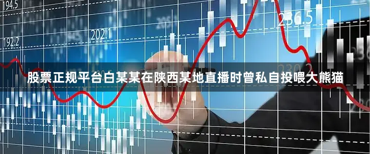 股票正规平台白某某在陕西某地直播时曾私自投喂大熊猫