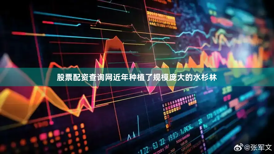 股票配资查询网近年种植了规模庞大的水杉林